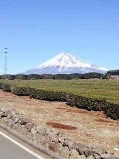 FUJI_512.jpg