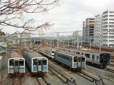 のうがた_400.jpg