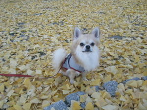 Blog6426
