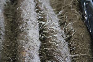 20120622_2