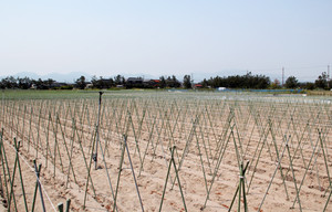 20120622_7