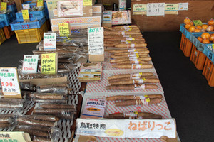 Nakaura2