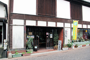 Gabai1