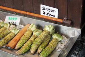 1102wasabi5