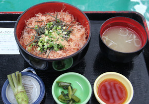 1109wasabi4