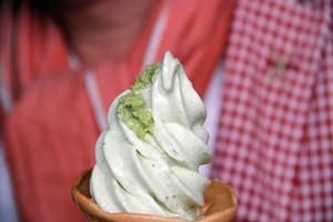 1109wasabi5