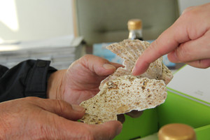 Kurahasijima3