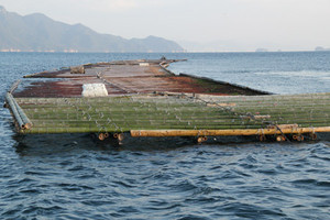 Guru20121130_5