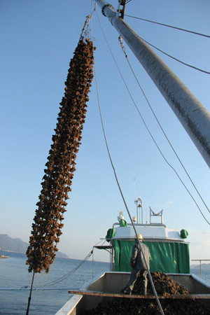 Guru20121130_8