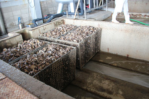 Guru20121207_4