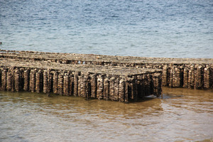Guru20121207_8