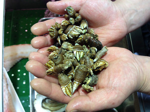 Photo_2