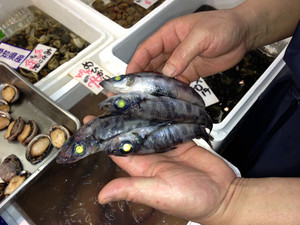 Photo_4