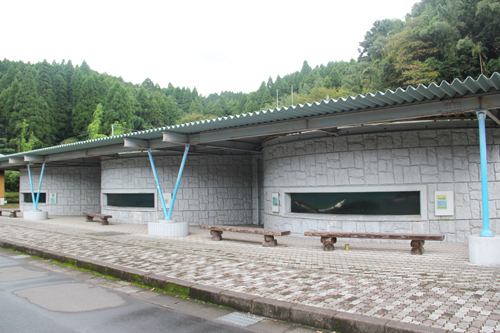 20141031guru1