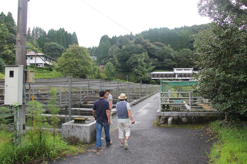 20141031guru3