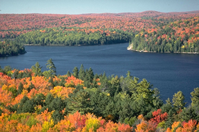 Autumn_world03_a