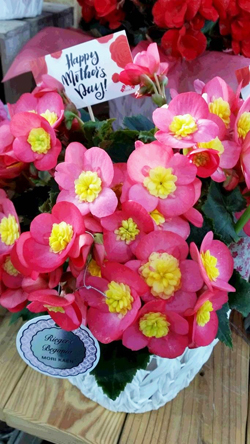 Photo_2