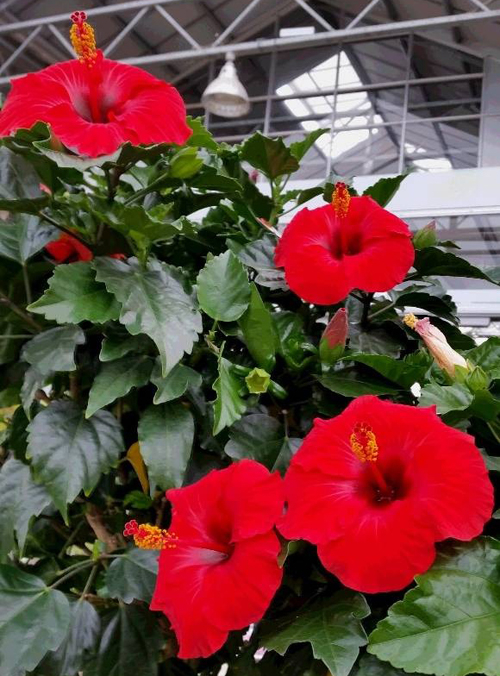Photo_3