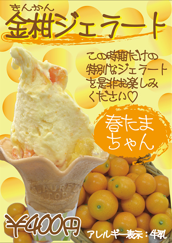 Photo_2