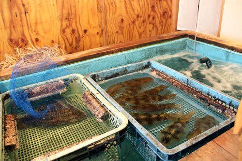 haku20200117_3.JPG