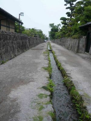 p01.jpg