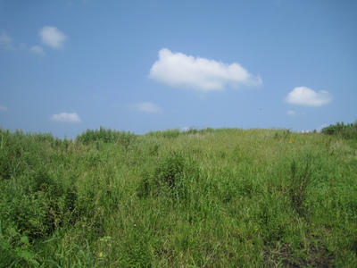 IMG_3145.jpg