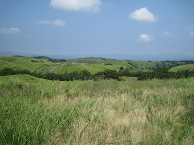 IMG_3146.jpg