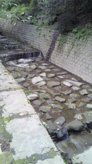 201009231703000.jpg