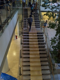 階段養生.jpg