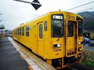 y-dc125.jpg
