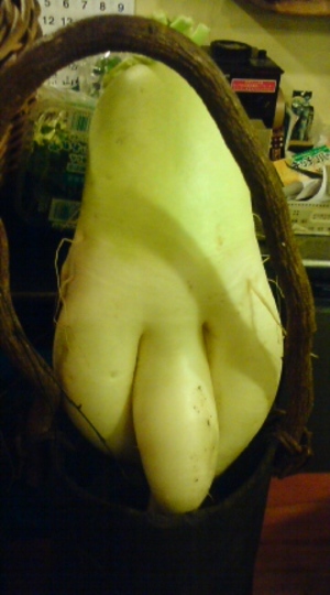 Dsc01291