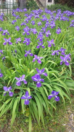 130503.jpg