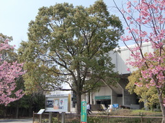 140322-a.JPG