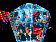 140506-a.JPG