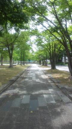 140527-b.JPG