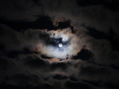 140811-b.JPG