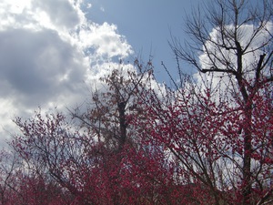170227-a.jpg