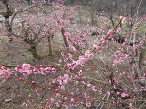 170227-b.jpg