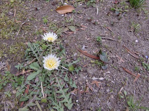 20170321.jpg