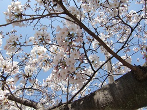 170404-a.jpg