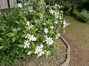 170504.jpg