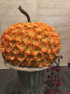 171021-b.jpg