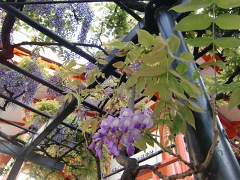 180421-b.jpg