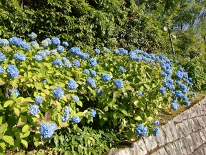 180607-c.jpg