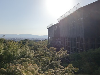 180607-d.jpg