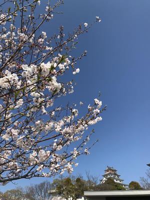190401-a.jpg