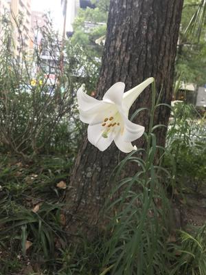 190803-a.jpg