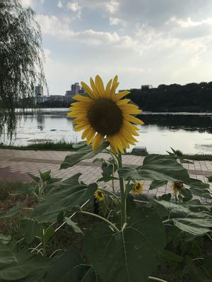 190803-b.jpg