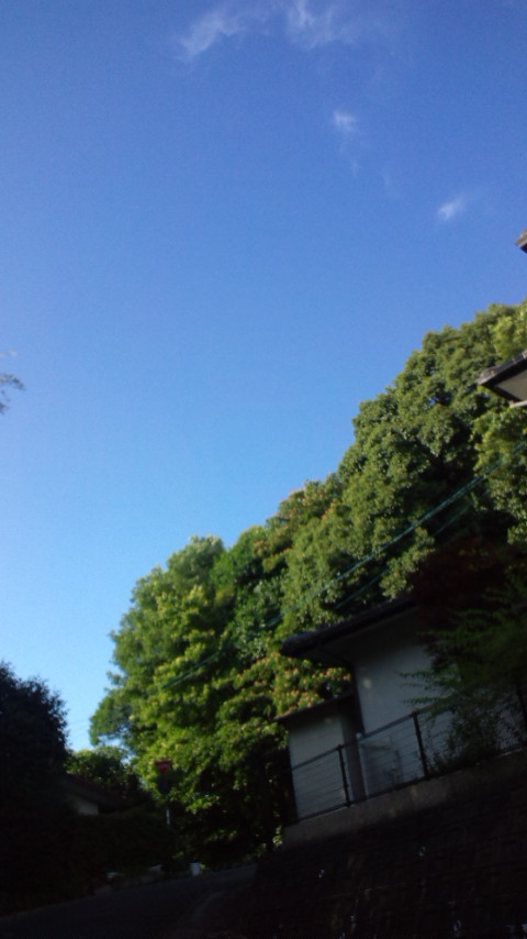 130616.JPG